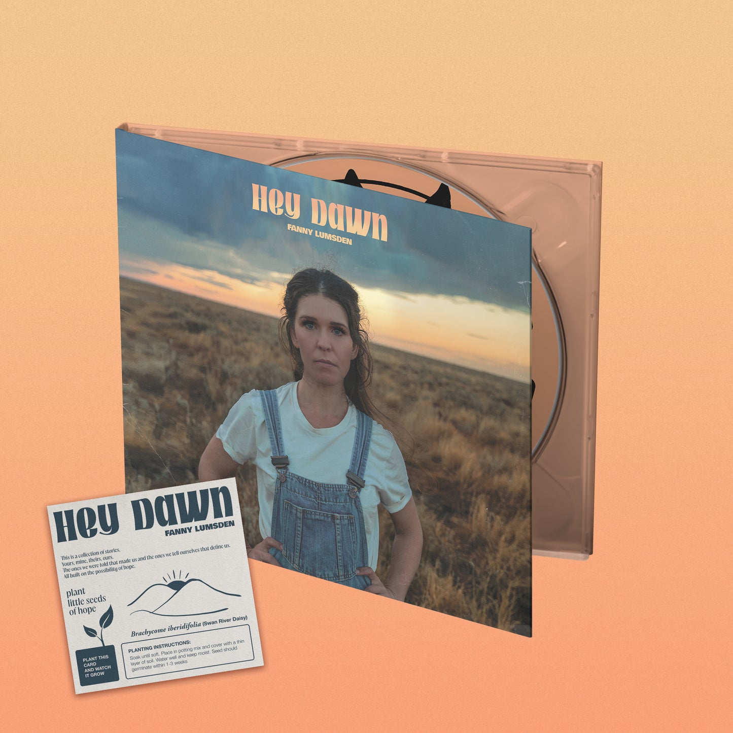 Hey Dawn - CD