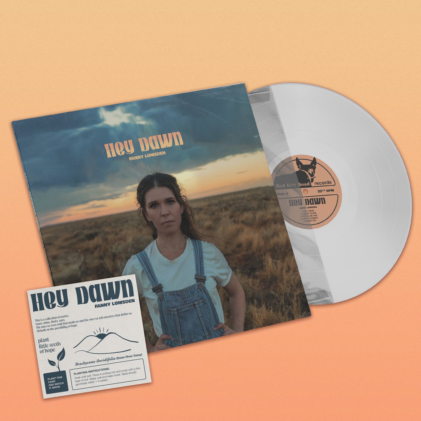 Hey Dawn - DELUXE CLEAR VINYL