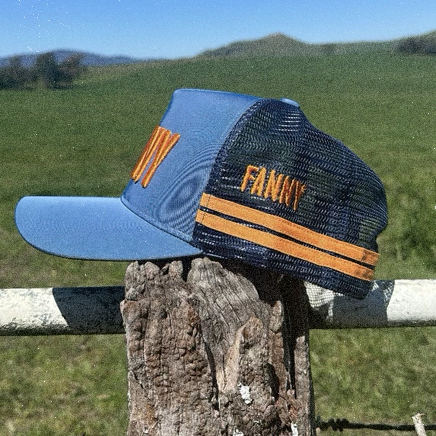 Fanny Trucker + Digital Album Bundle