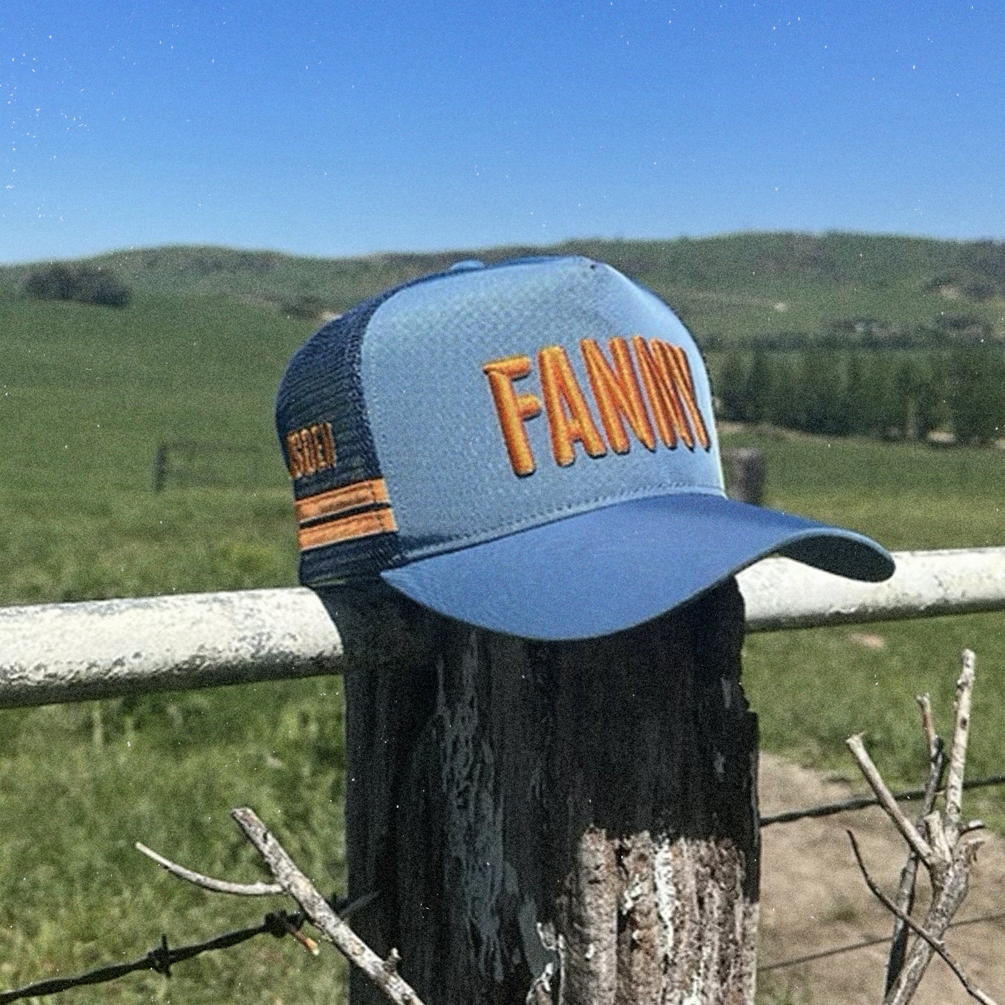 Fanny Trucker + Digital Album Bundle