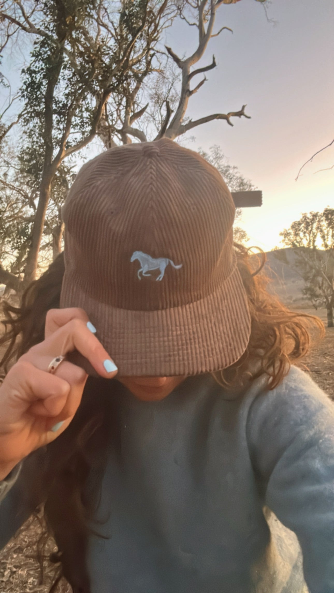 Caps By Fanny: wee horse on Walnut Cord Cap