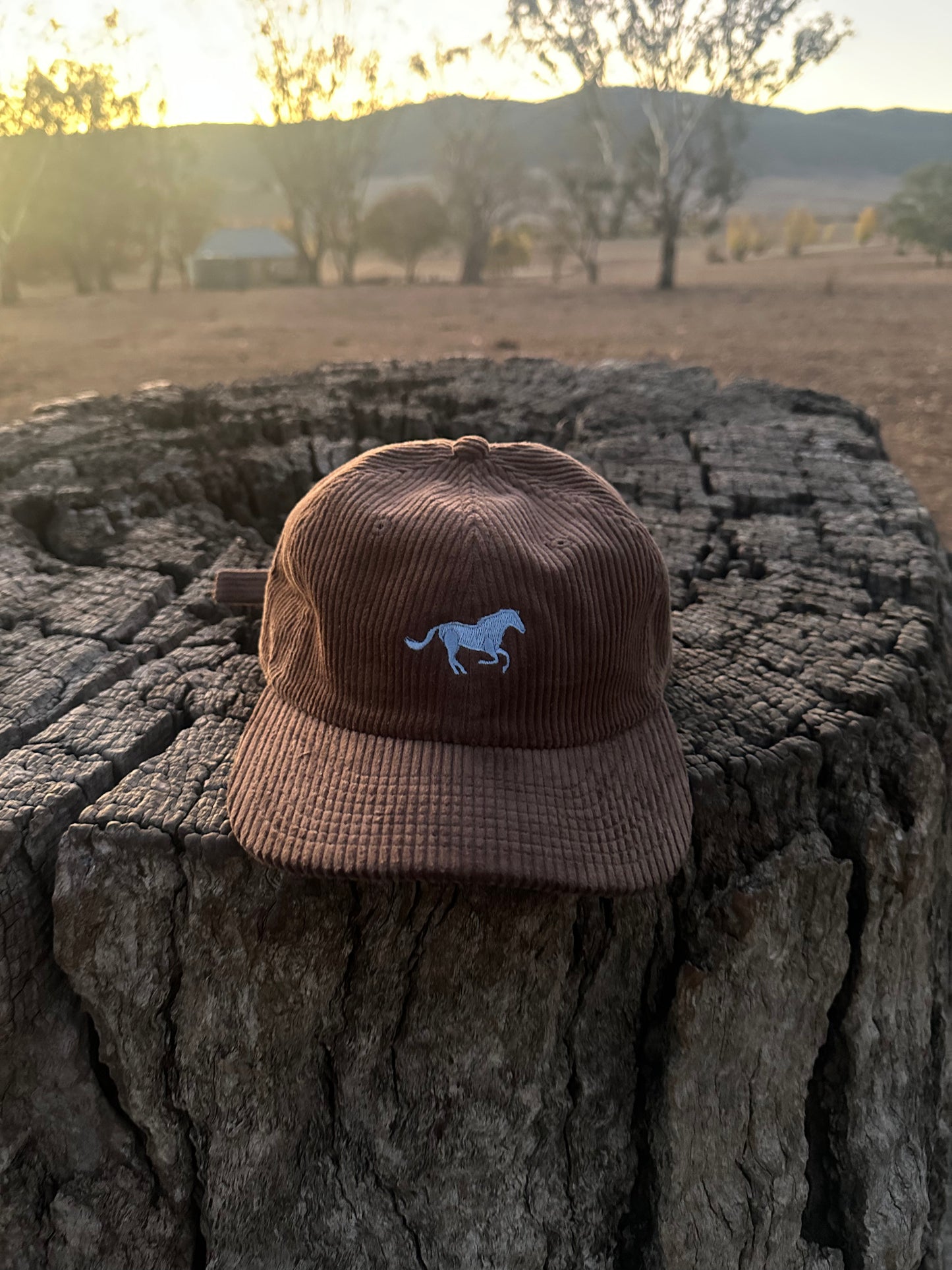 Caps By Fanny: wee horse on Walnut Cord Cap